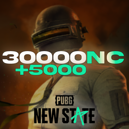 Pubg New State 30000 + 5000 NC