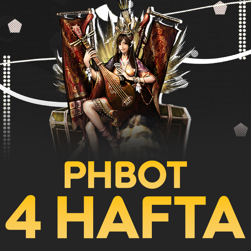 Silkroad Online phBot 4 Week